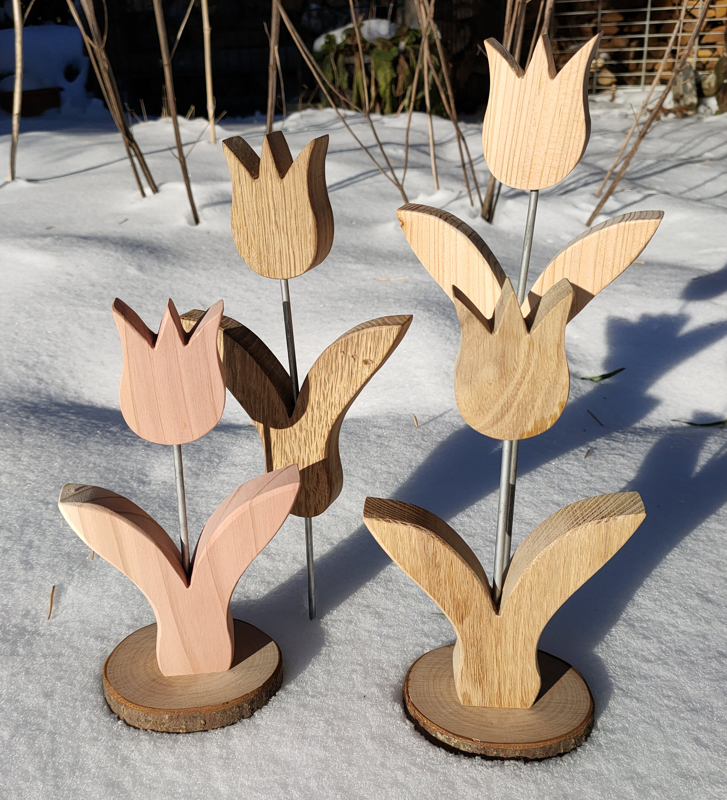Holztulpen